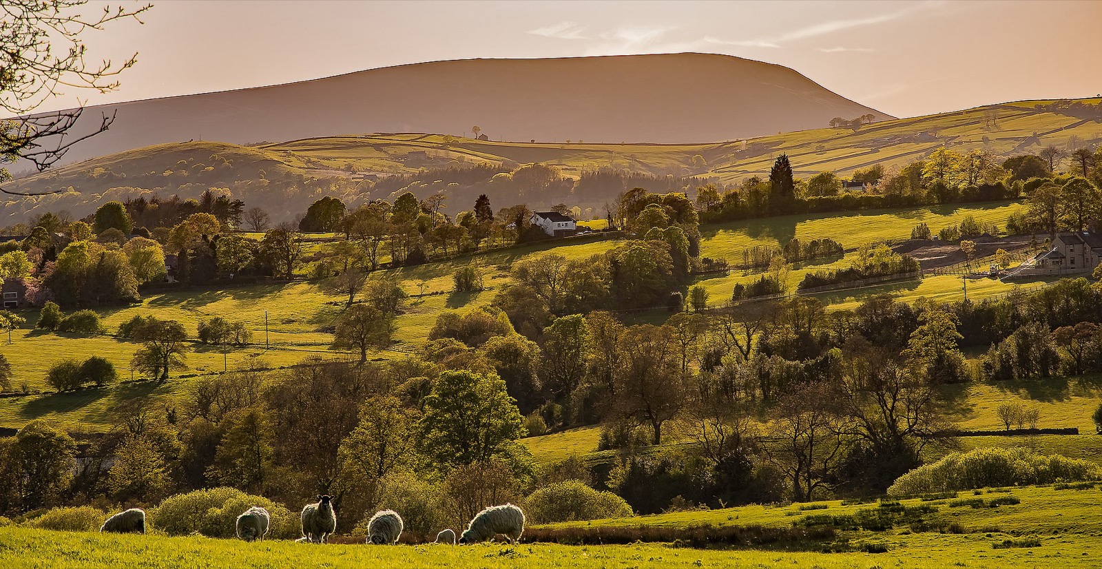 Ribble Valley countryside with Pendle Hill in the distance